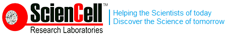 2mag AG logo